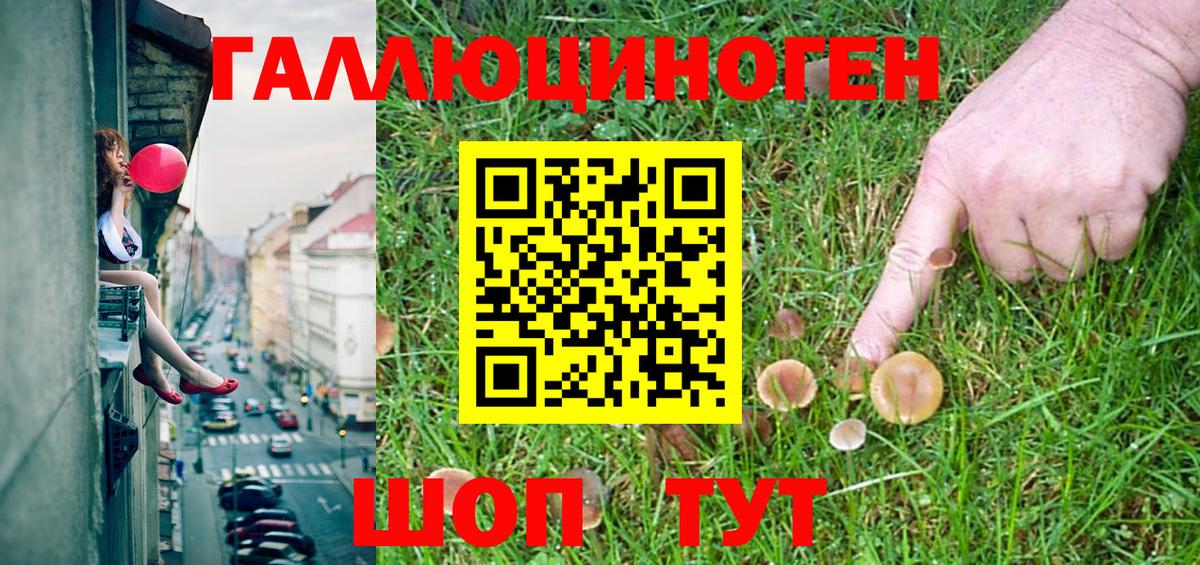 Псилоцибиновые грибы Psilocybe Кубинка