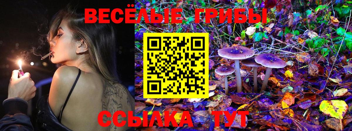 Псилоцибиновые грибы GOLDEN TEACHER  Вход с VPN  Кубинка  Галлюциногенные грибы мухоморы 